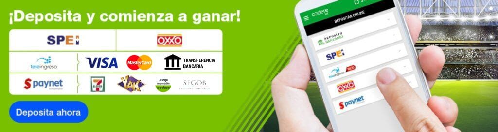 Sistemas de pago